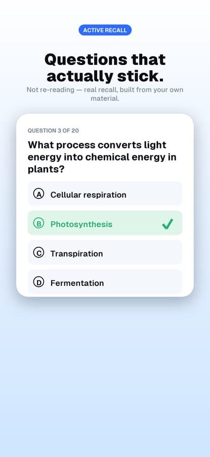 A Quiz Notes question: what process converts light energy into chemical energy in plants? Photosynthesis is marked correct.